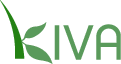 Kiva Logo