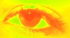 Eye Tracking Yellow