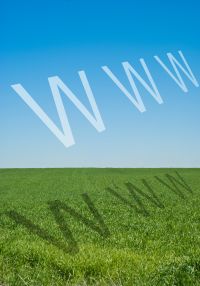 WWW on green grass